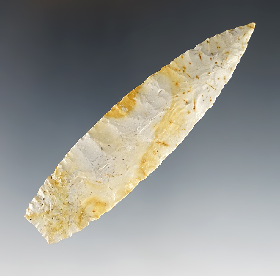 Very thin 3 5/8" Humboldt Concave-Base - Northern Nevada.  1/2" of the base restored.  COA.