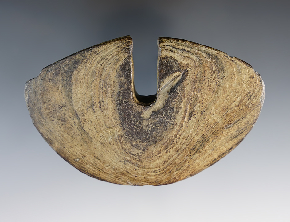 3 11/16" Archaic Single-Notch Wing Bannerstone found in Lucas Co., Ohio. Pictured in Who's Who #7!