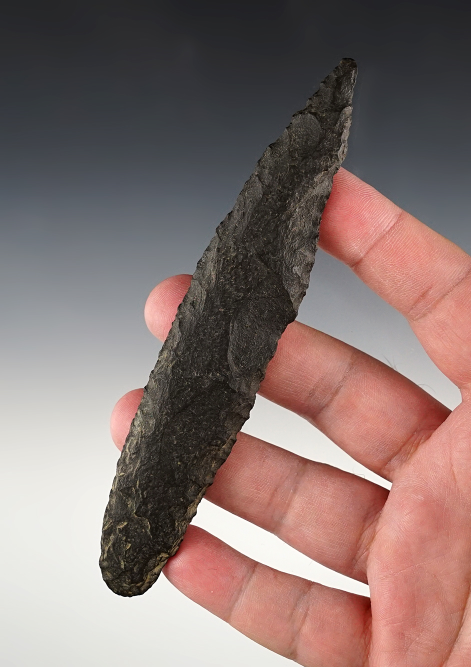 5 9/16" Paleo Haskett found by Dusty Rhoadesfound in Oregon. See description for more info… 