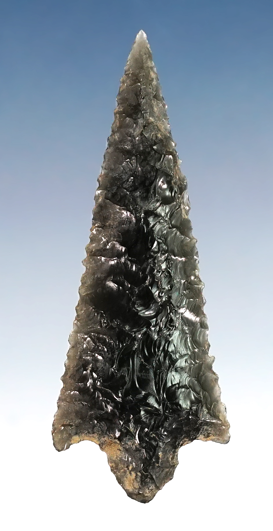 1 7/8" Rabbit Island with exquisite flaking found in the 1950's near the Columbia River. 