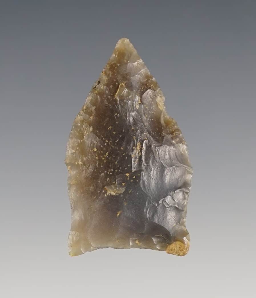 2 3/4" San Patrice found in Comanche County Texas. Comes with a Dickey COA.