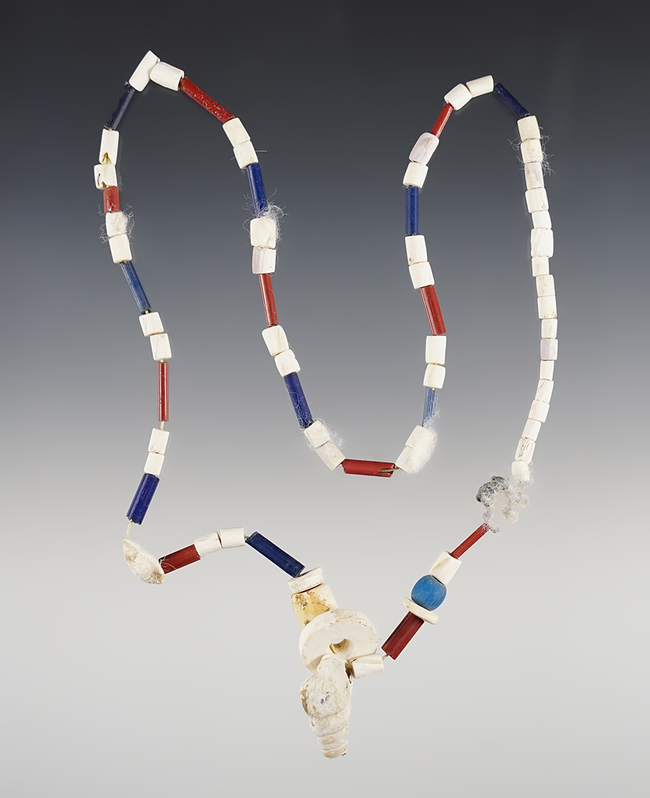 21" Strand with purple and white shell beads, red and blue glass bead types. Lima, New York. 