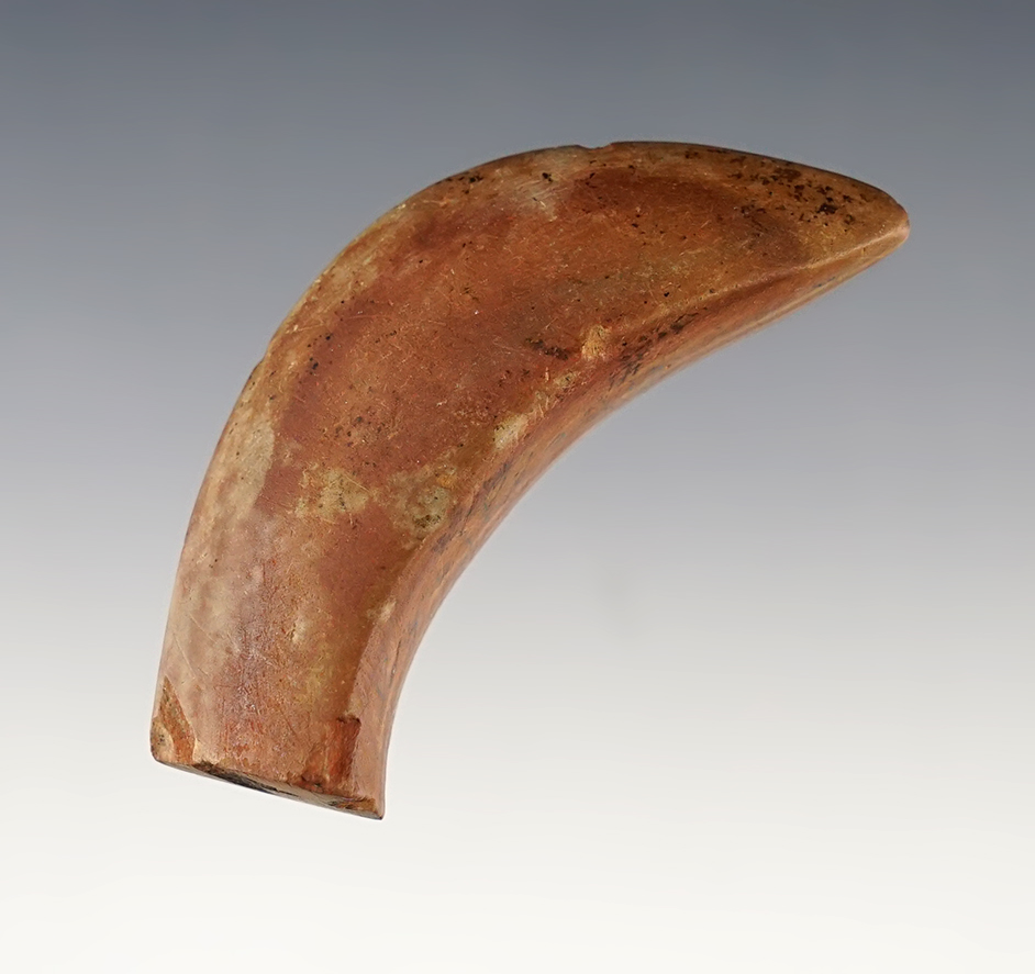 Colorful 2 3/4" Birdstone head found in Kentucky. The break was anciently polished over.