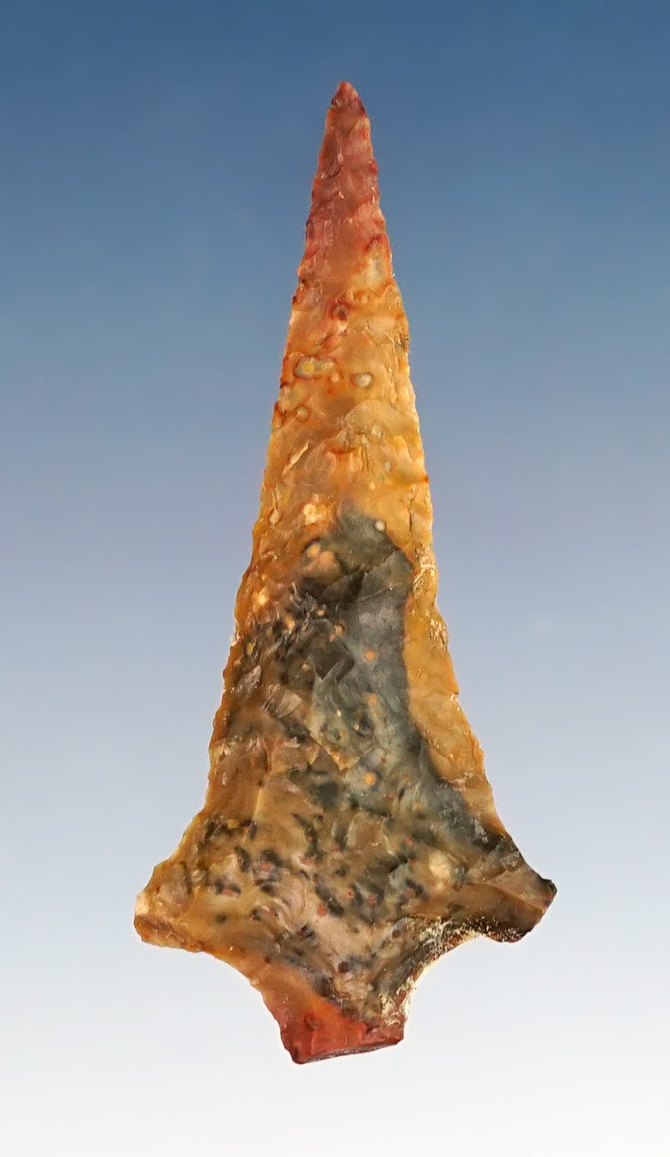 1 11/16" Rabbit Island found near the Columbia River by the late Norma Berg. 