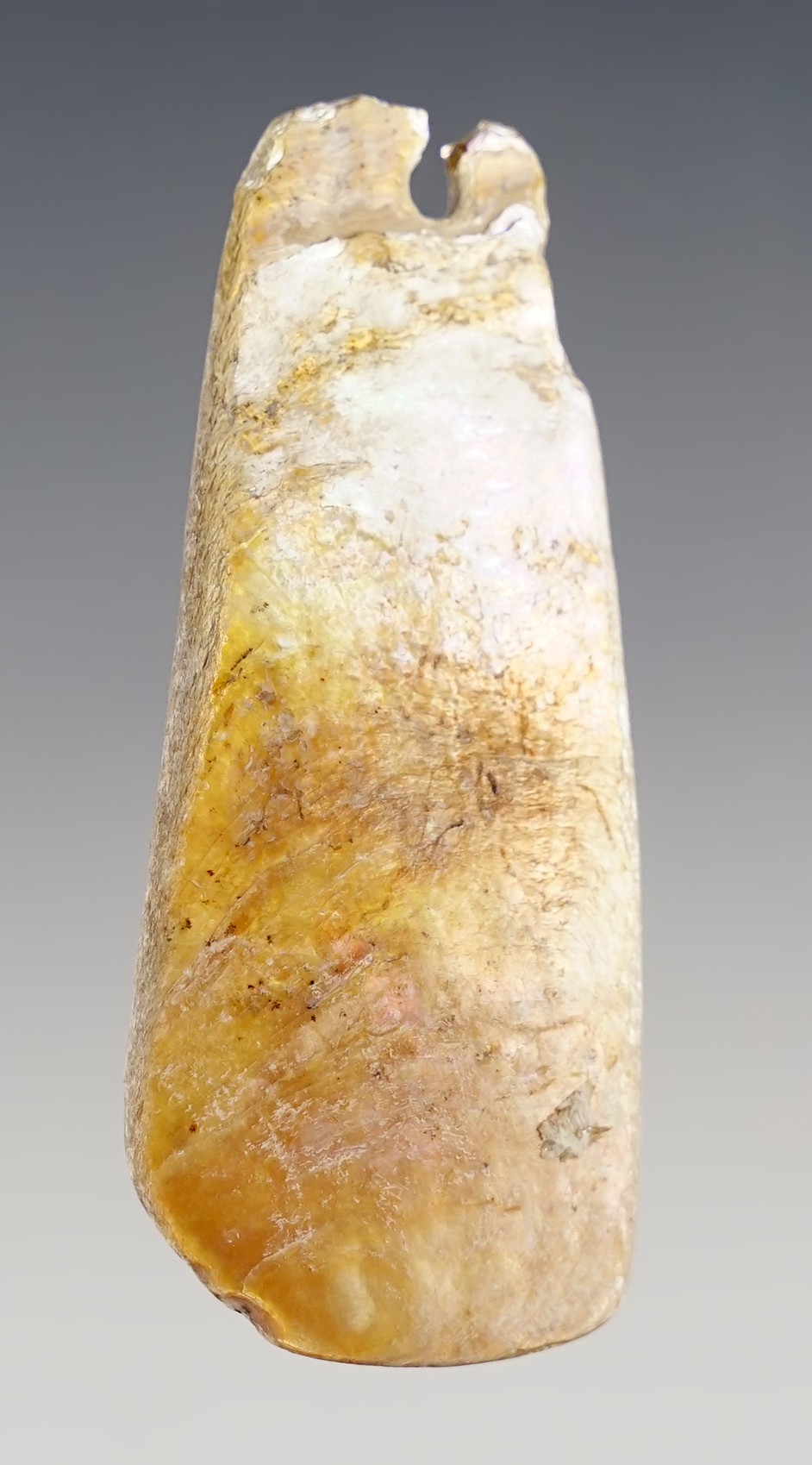 2 5/8" Mother of pearl shell pendant, California, Pre-Columbian (prior to 1500 CE).