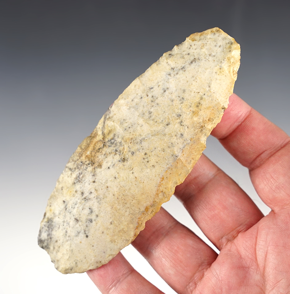 Large and well flaked 4 9/16" Blade. Found by the late Norma Berg of Ellensburg Washington 