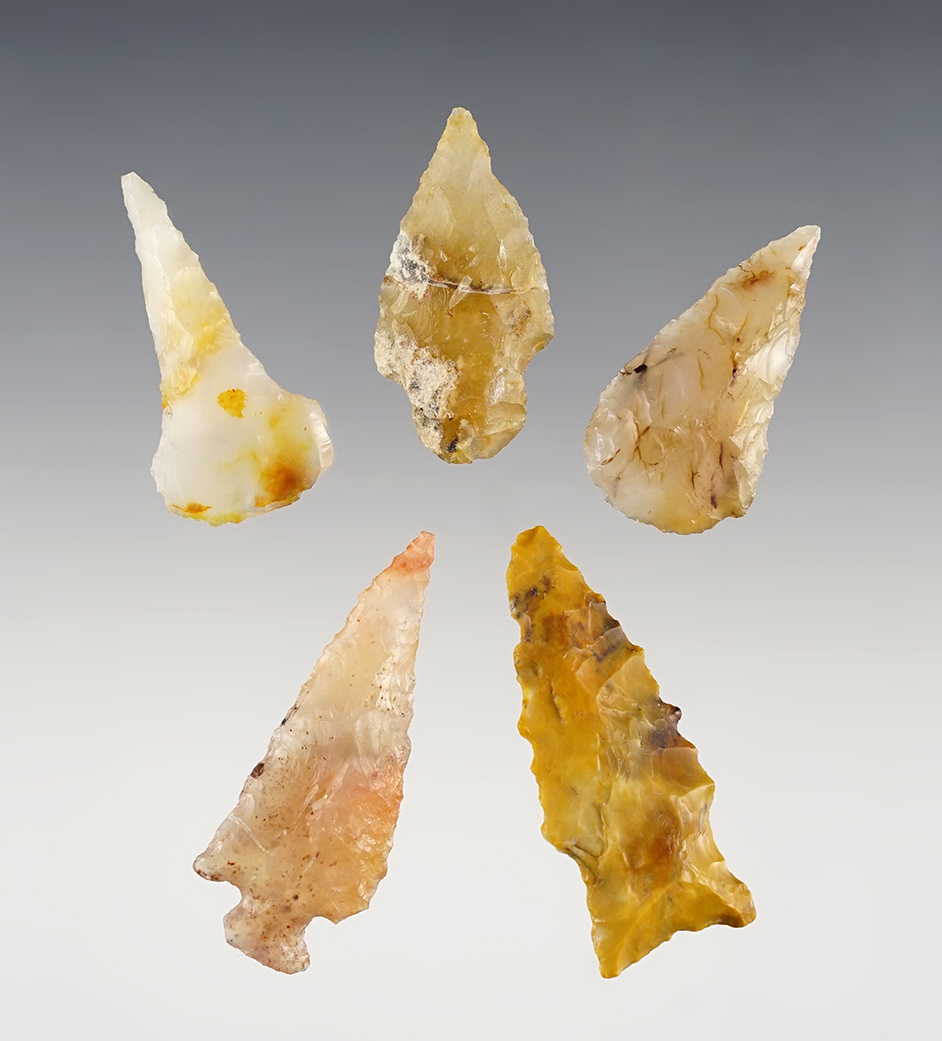 Set of 5 assorted points and tools found near the Columbia River.  