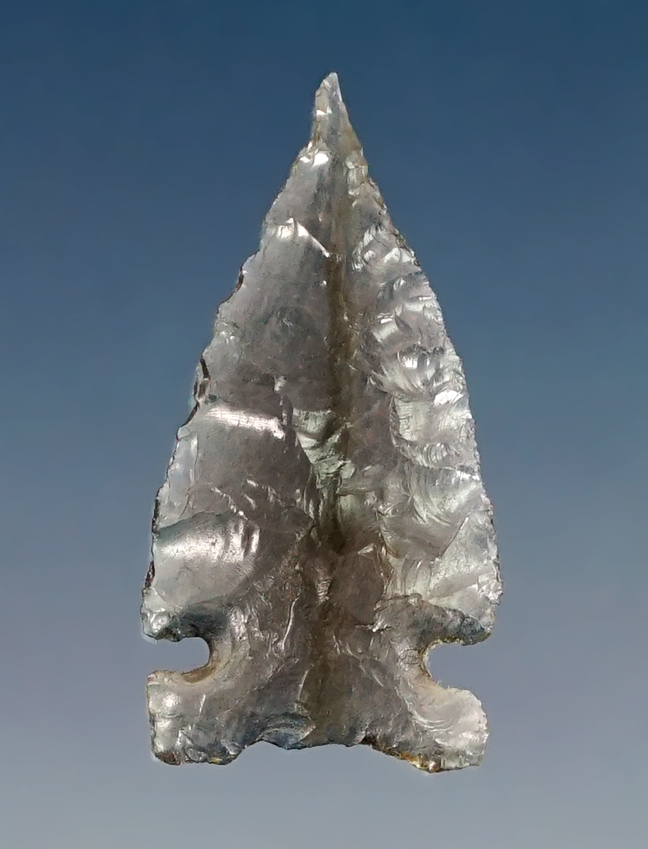 Very fine and delicate 15/16" Plains Side-Notched - Translucent Obsidian.Colorado. COA. 