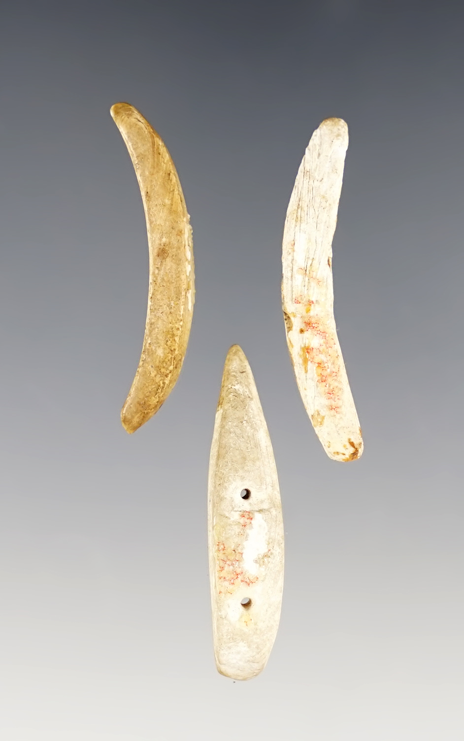 Set of 3 Shell Spacers that are nicely patinated, largest is 1 3/8".Townley Reed Site. New York. 