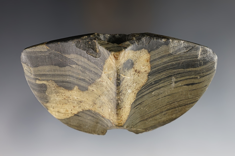 4 3/8" Single Notch Butterfly Bannerstone with "worm tracks" on surface. Noble Co., Indiana. 