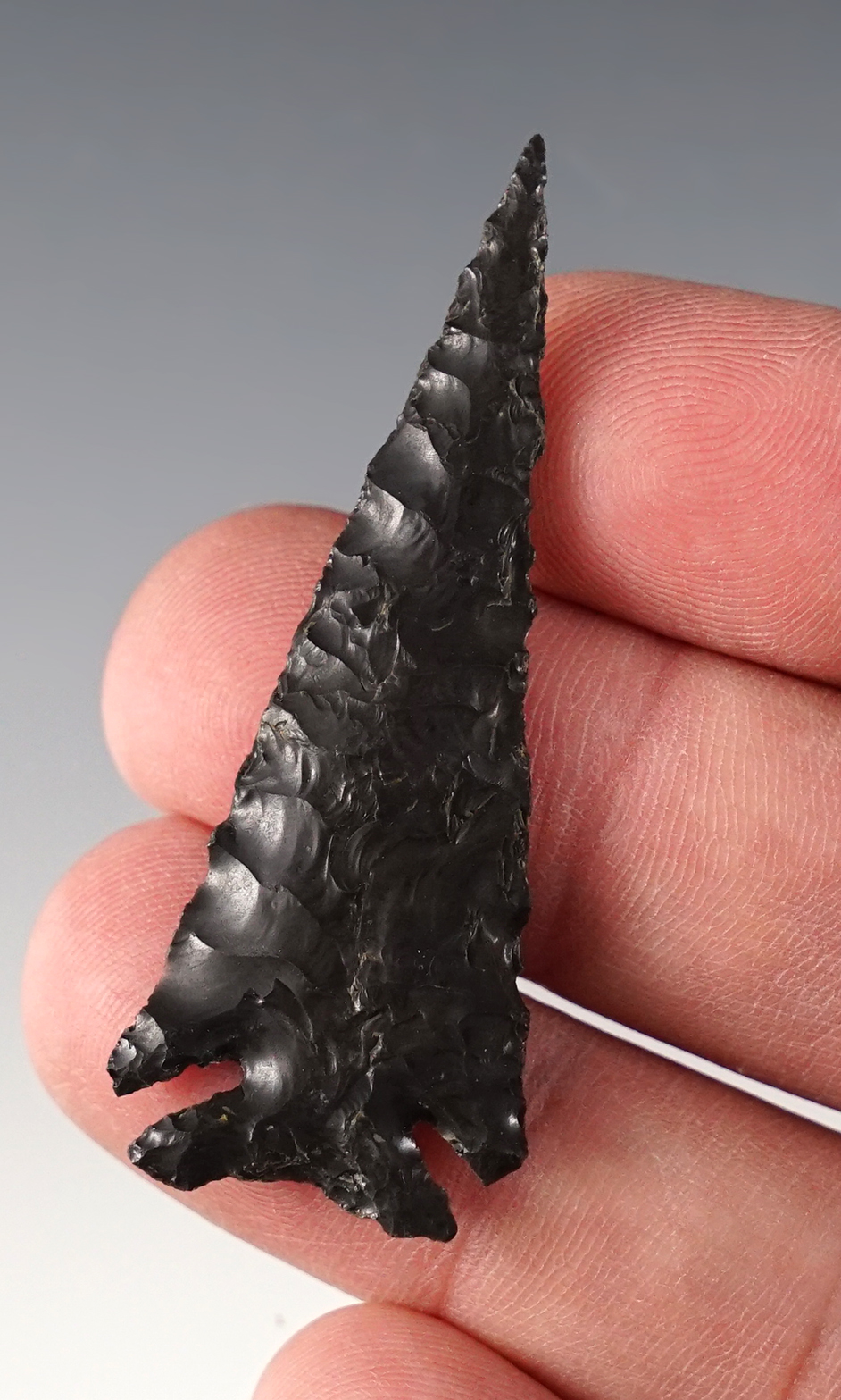 Fine and thin 2 3/16" Elko Series (Eared Variety) that is well made from Obsidian. COA. 