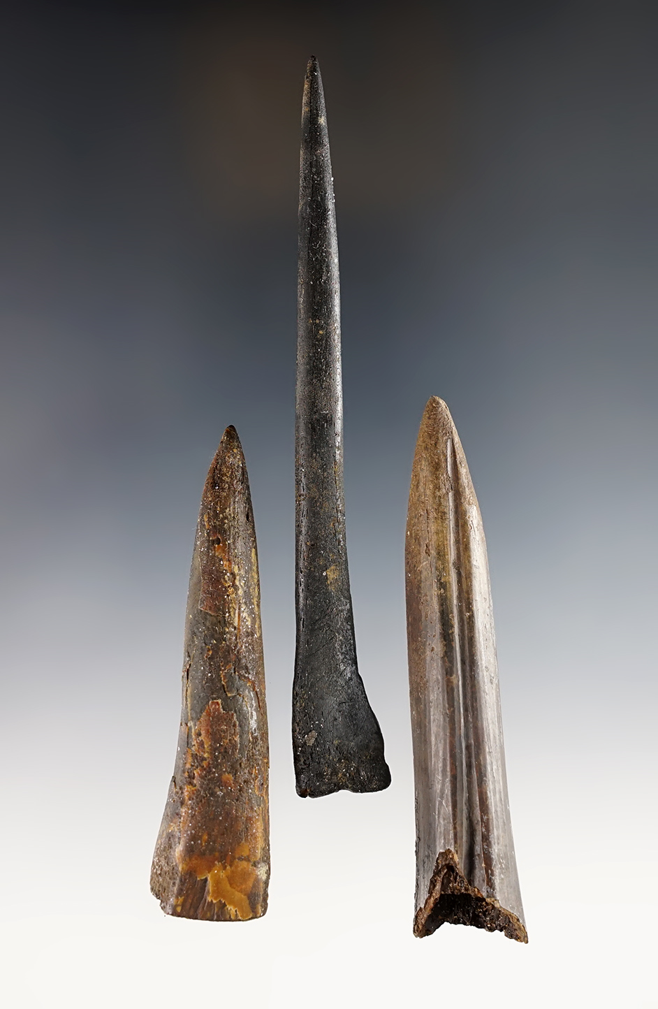 Pair of Socketed Bone Projectile Points and a 4 5/8" Bone Awl. All have river stained patina. FL. 