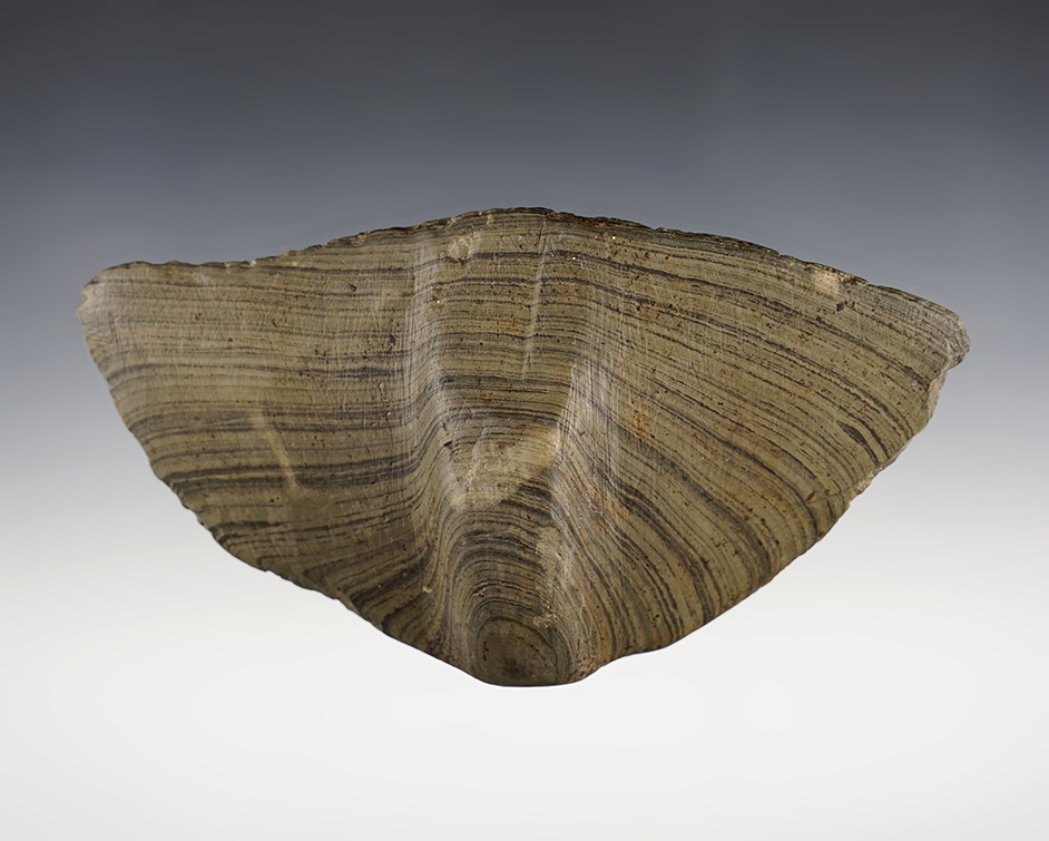 Unique 5 3/4" Single Notch Wing Bannerstone Preformfound 3 miles east of Delaware, Ohio. 