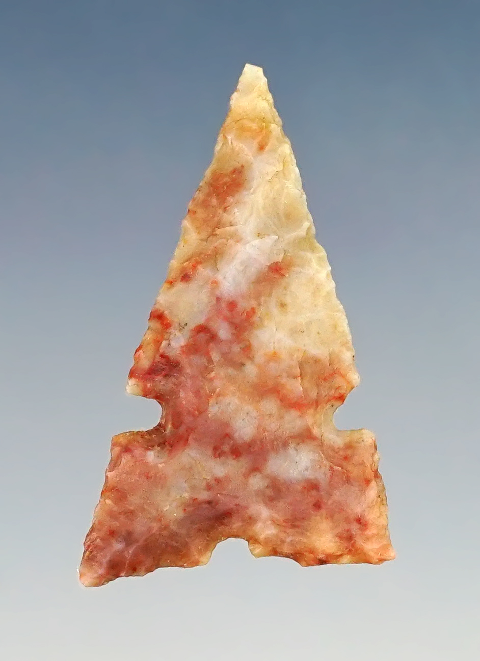 1 1/16" Plains Tri-Notched -Alibates Chert. Found in Prowers Co., Colorado. Stermer COA. 