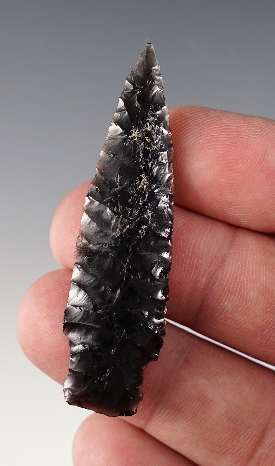 2 3/8" Shaniko Stemmed - Obsidian. Found near Crump Lake, Lake Co., Oregon. COA. 