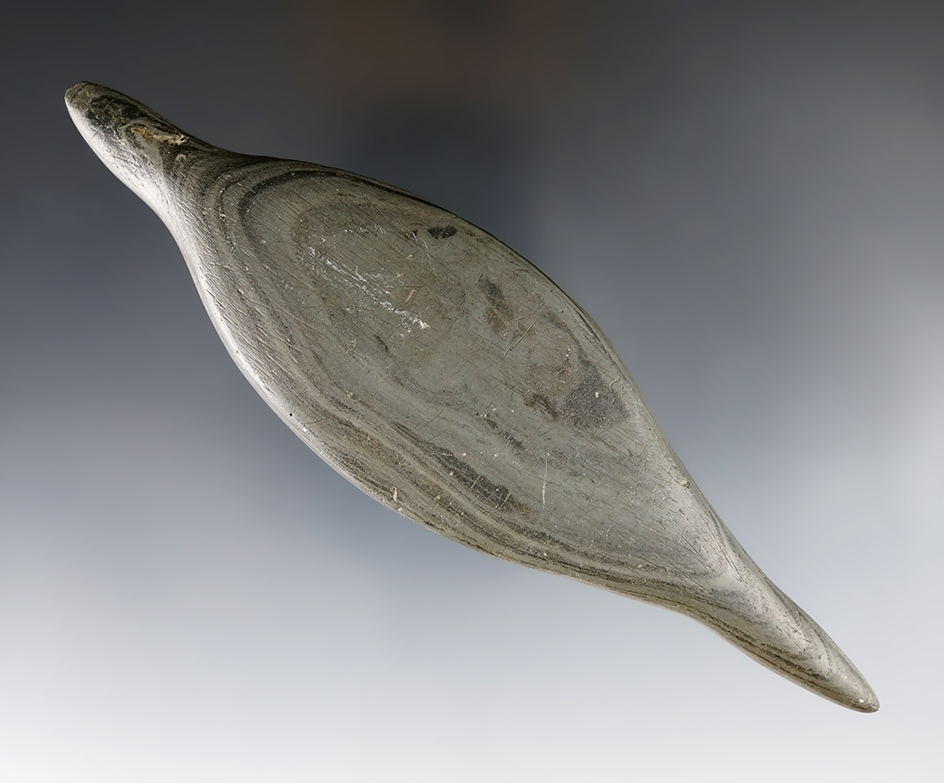 5 3/4" Glacial Kame Lizard found in Henry Twp., Wood Co., Ohio. Pictured! 