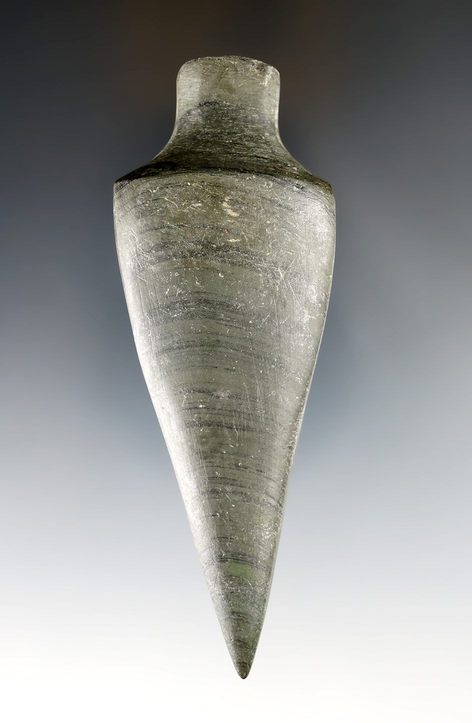 4 1/4" Glacial Kame Lizard made from green and black Banded Slate. Union Co., Ohio. Ex.  Converse.