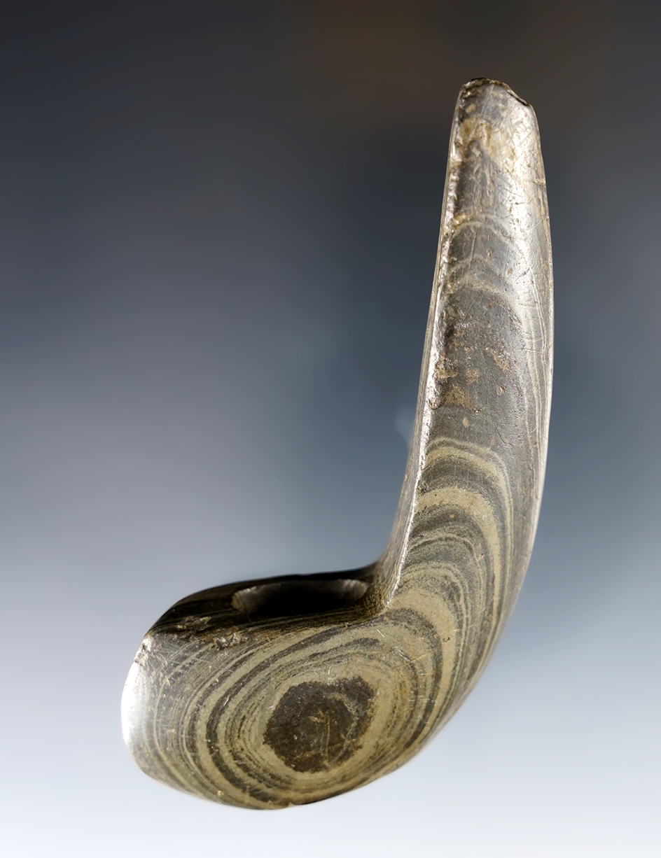 3 3/4" Banded Slate Geniculate made from green and black Banded Slate. Found in Delaware Co., Ohio