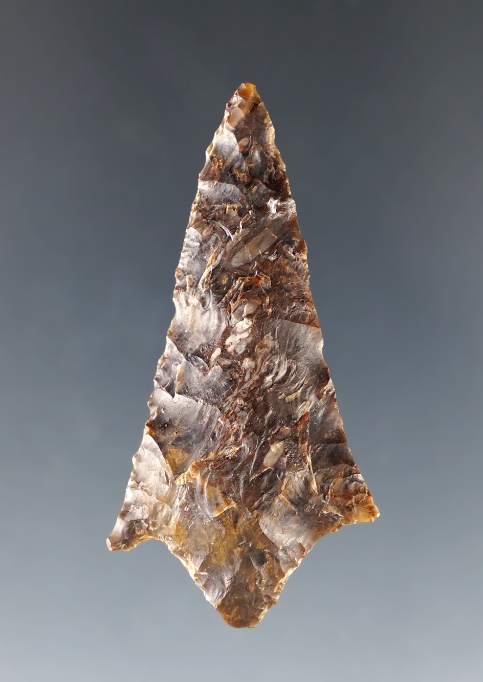 Classic style 1 13/16" Rabbit Island in very nice condition. Found near the Columbia River.