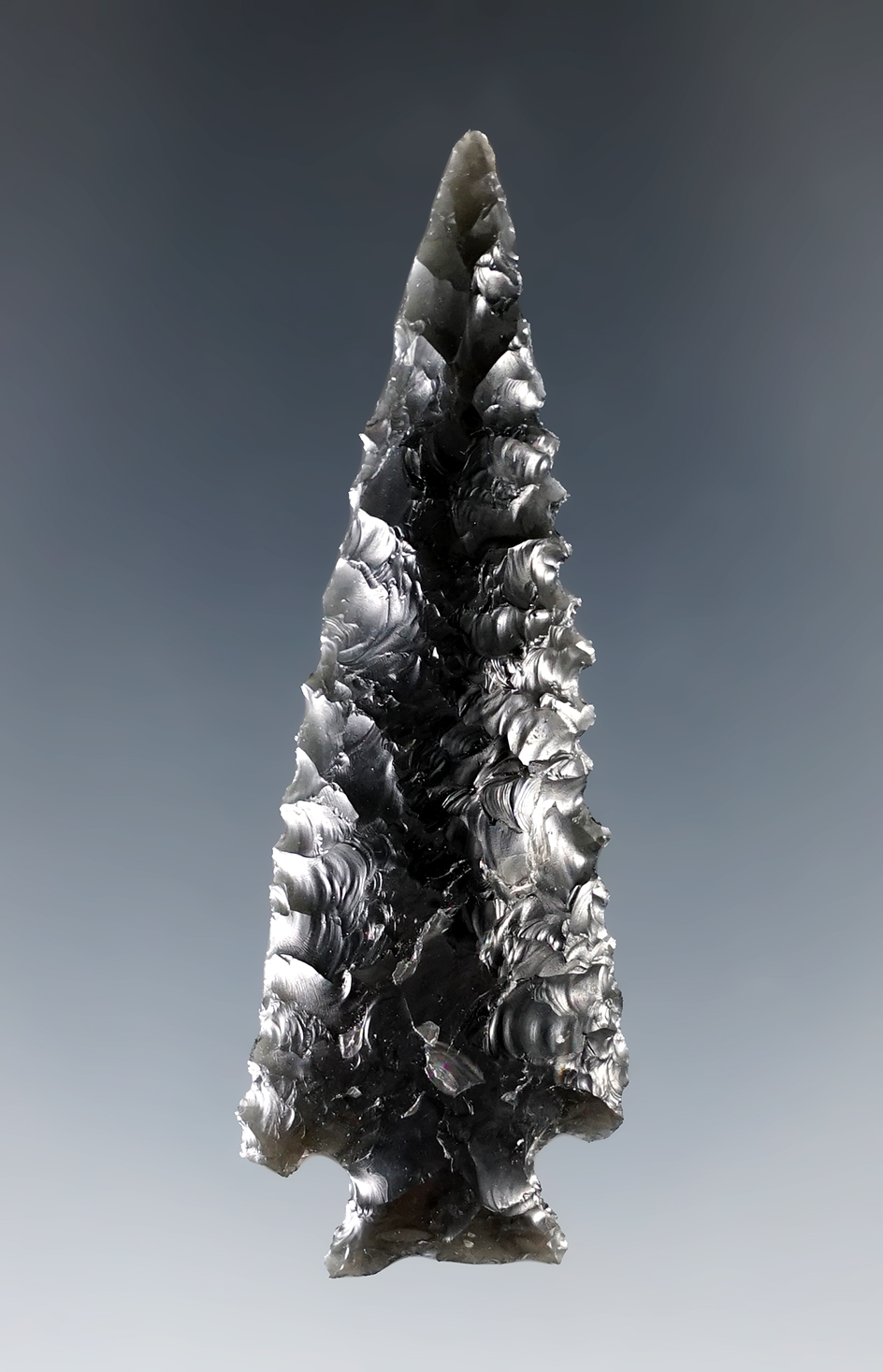 2 5/16" serrated Obsidian dart point found in Oregon. Blade is slightly curved.