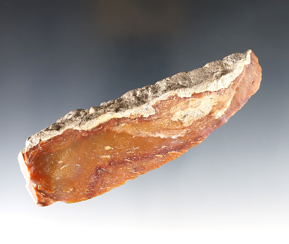 Nice 4 3/4" Backed Paleo Knife found in Alachua Co., Florida