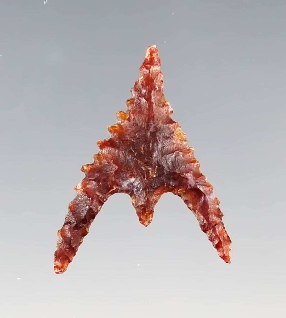 Incredibly fine 15/16" Gunther Rogue River Variety - Jackson Co., Oregon. Stermer COA.