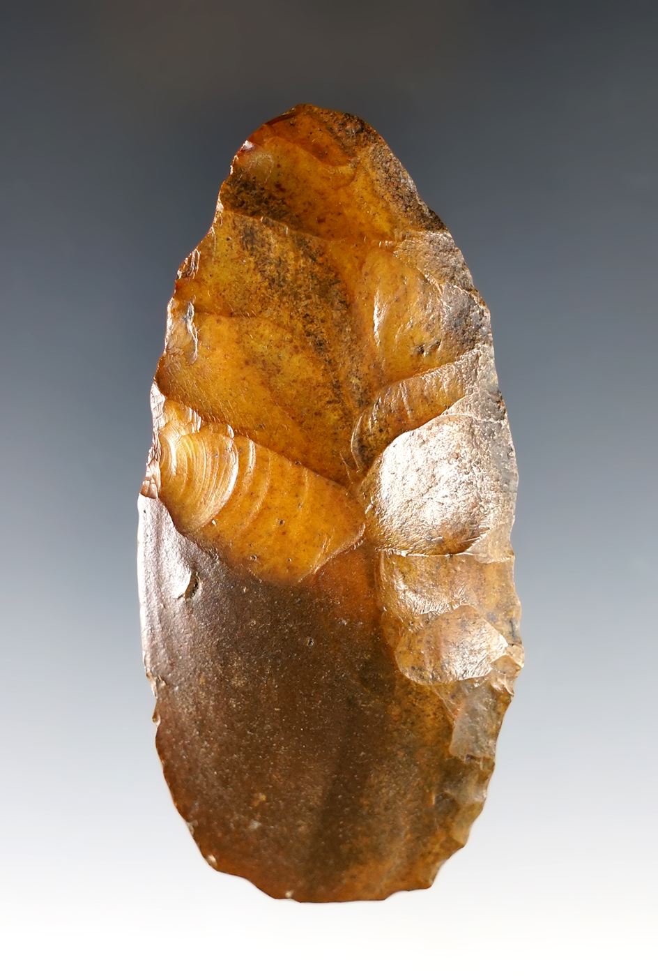 Beautifully patinated 3 7/16" Paleo Knife found in Suwannee Co., Florida. 