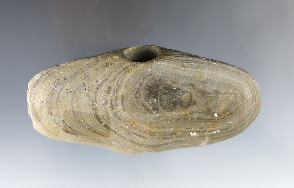 3 7/8" wide Wing Bannerstone with a nice "worm track" on one face. Found in Summit Co., Ohio.