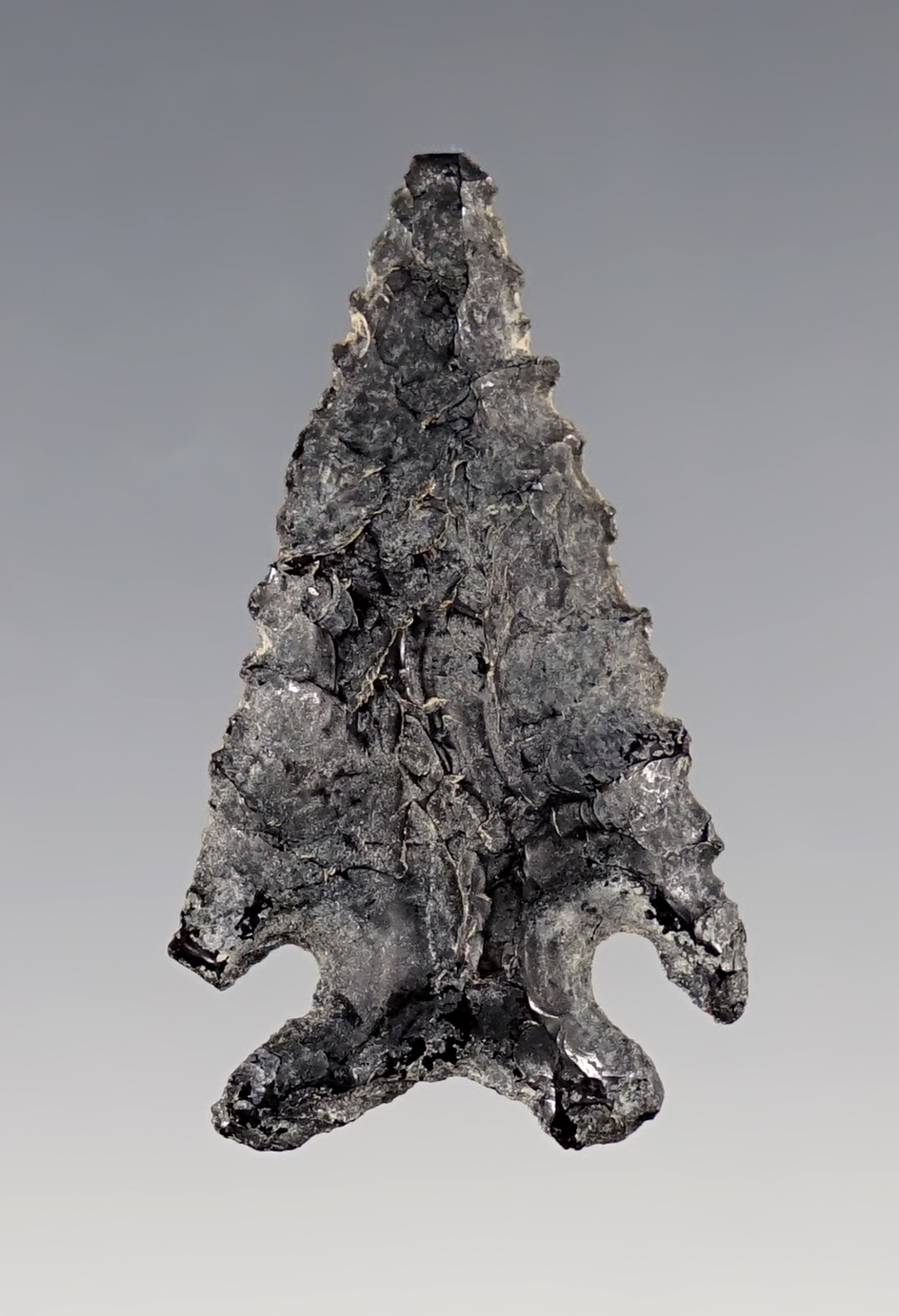 1 7/16" heavily patinated Elko Eared. Found near Goose Lake, Lake Co., Oregon in the 1950's. 