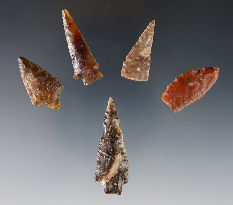 Set of 5 colorful and well made Points found close to the Columbia River. Ex. Wilke Museum. 