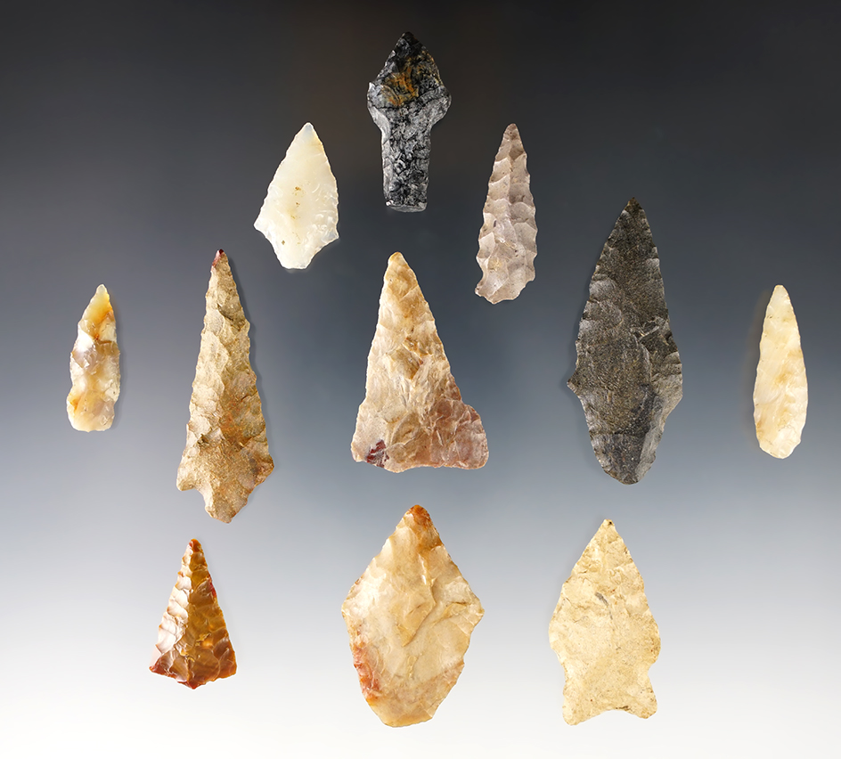 Set of 11 nice Points found close to the Columbia River. Ex. Wilke Museum. The largest is 2 3/16".