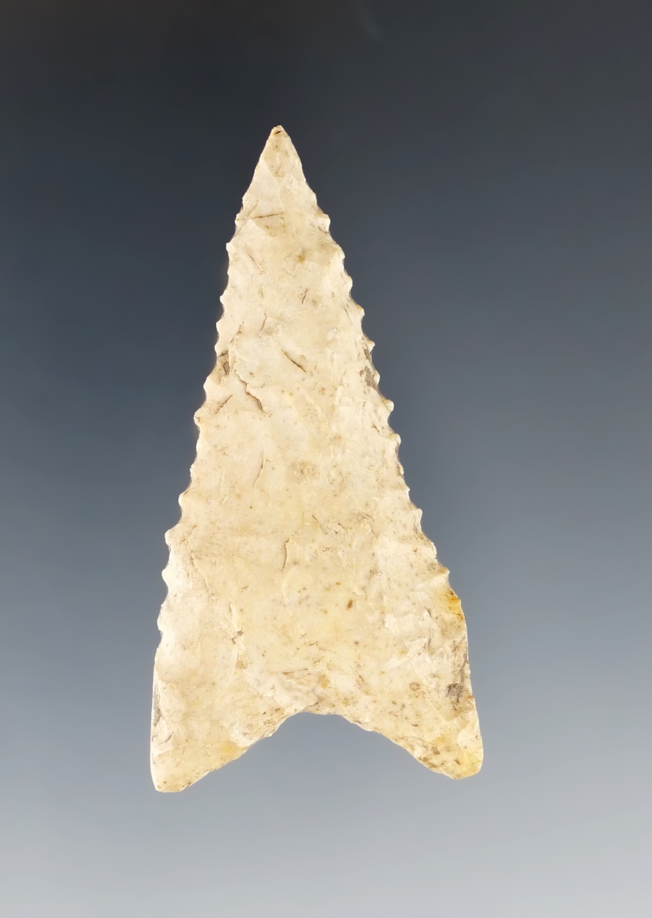 2 3/16" classic style Dalton that is nicely beveled and serrated - Robertsville County Missouri.