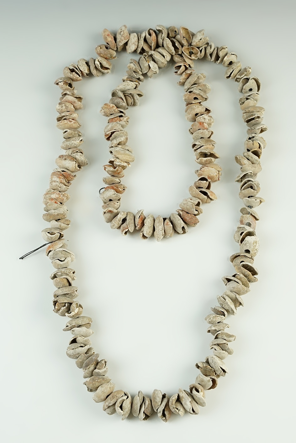 Large 48" long strand of Drilled Snail Shell Beads found in Colusa Co., California.