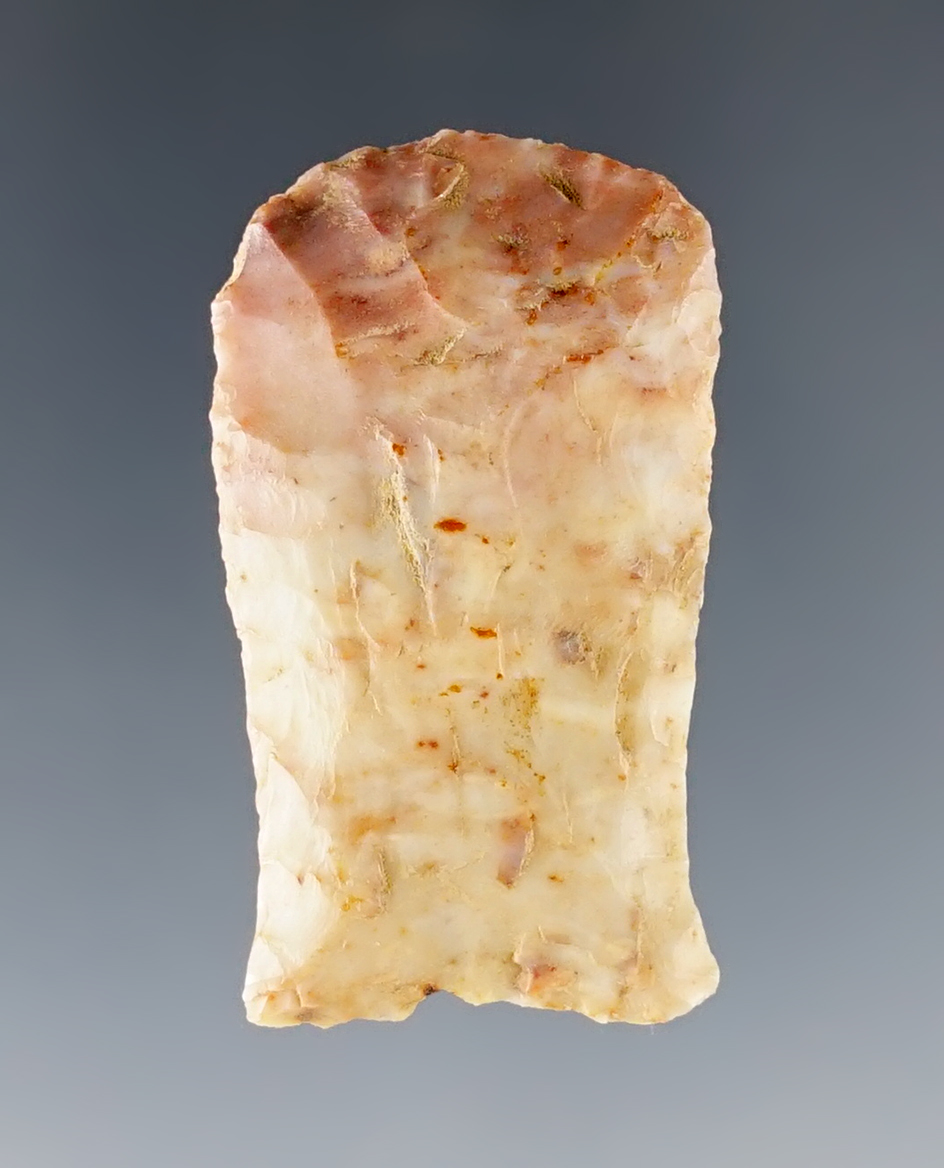 1 9/16" Paleo Hafted Scraper made from highly colorful Flint. Excellent grinding. Kentucky.