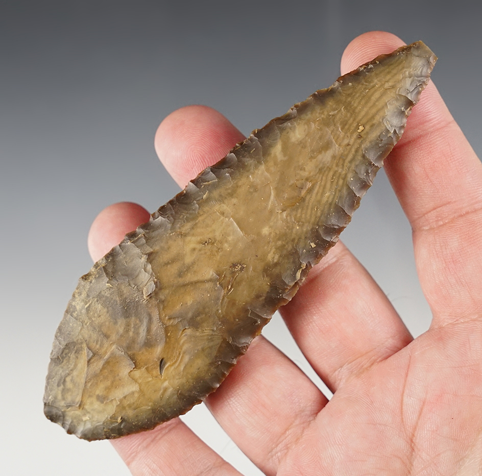 Fantastic 4 7/8" Shoshone Found around the Blue Mountain, Colorado/Utah line.