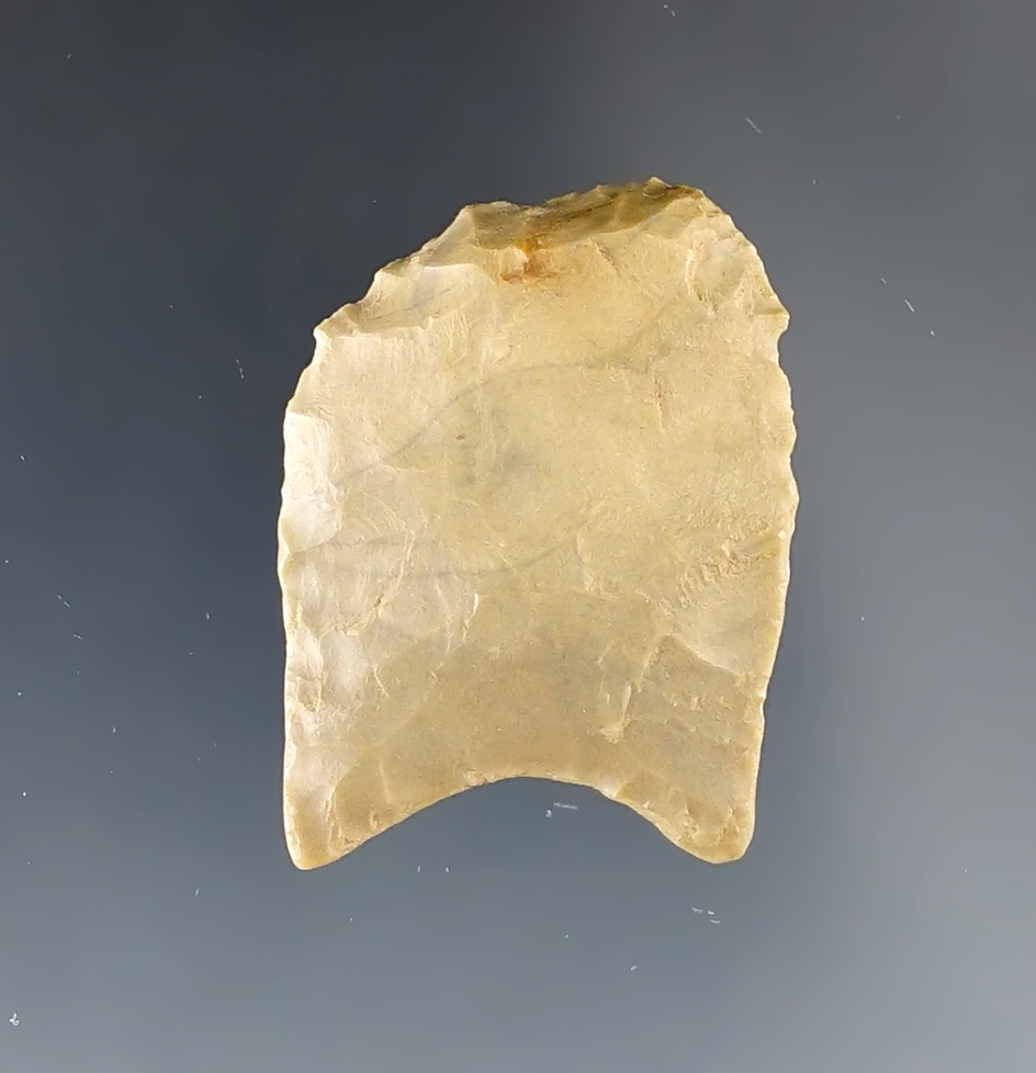 Rare! 1 1/4" Paleo Fluted Clovis Hafted Scraper. Found in Wabash Co., Illinois. Ex. Clark family 