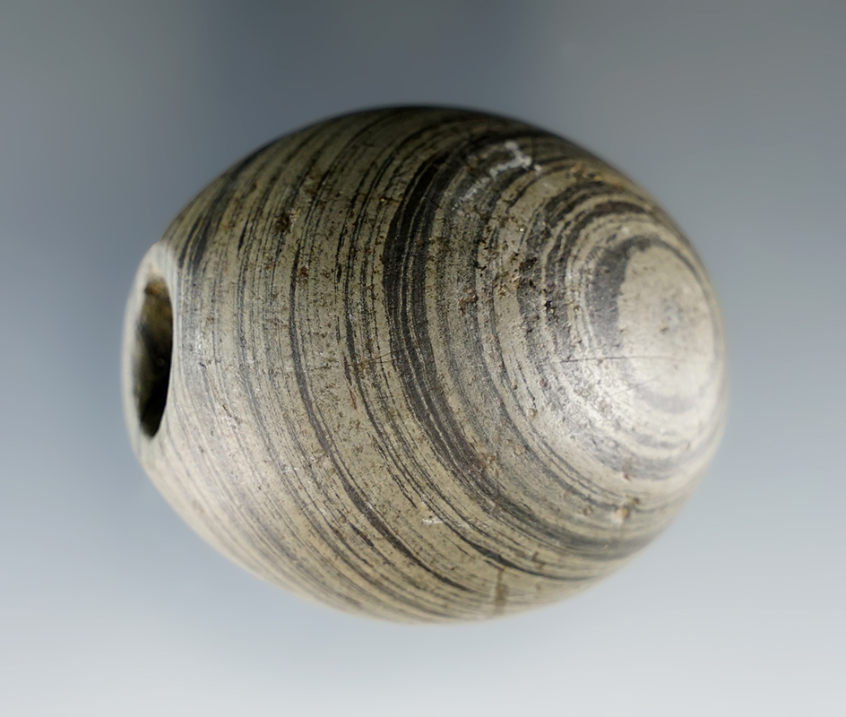 1 5/8" x 1 1/4" Archaic Ball Bannerstone found in Ross Co., Ohio. Ex. Stanley Walters (#52).