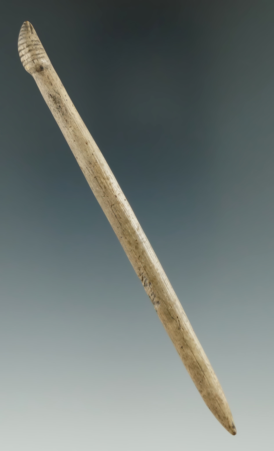 4 7/16" antler awl with a nice effigy design on one end found in New York.   Ex. Harry Arthur.