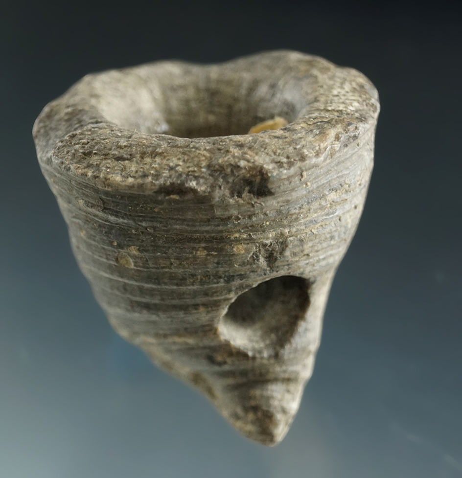 Exceptionally rare! One-of-a-kind 1 5/8" Vasiform Pipe made from a Horn Coral fossil. New York.