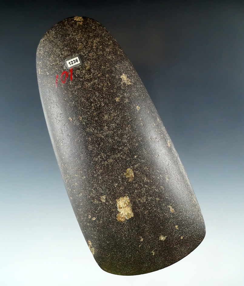 Very highly polished 6 1/2" Porphyritic Hardstone Celt found in Preble Co., Ohio. Ex. L. Fueling.