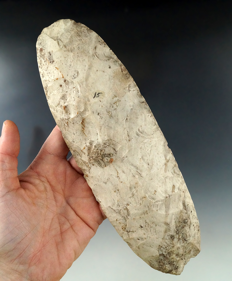 8 3/4" Burlington Chert Hoe found in Jersy Co., Illinois. Ex. Rose Nelson.