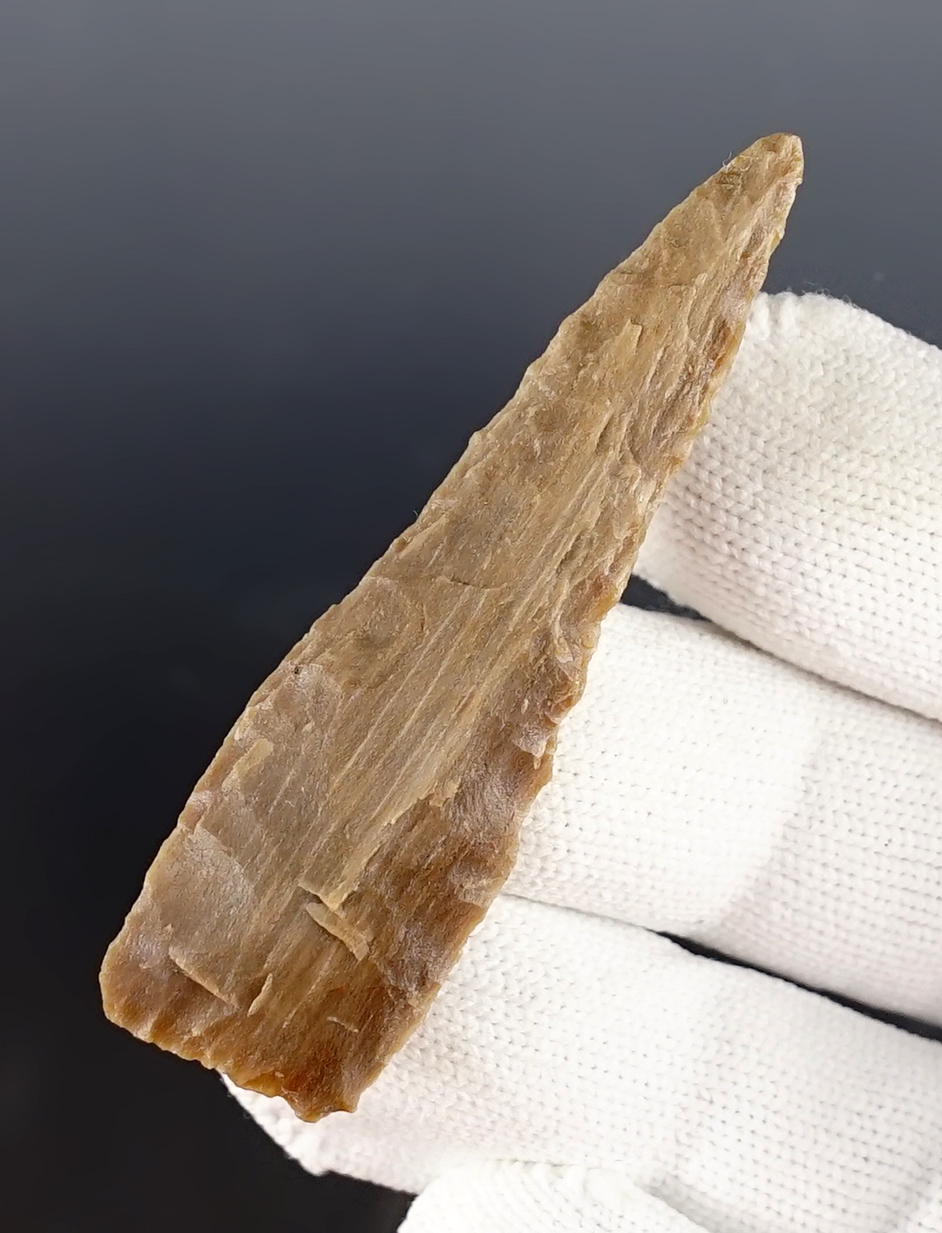 2 1/2" Plateau Pentagonal found by Shirley Twehus, Benton Co., Washington. 