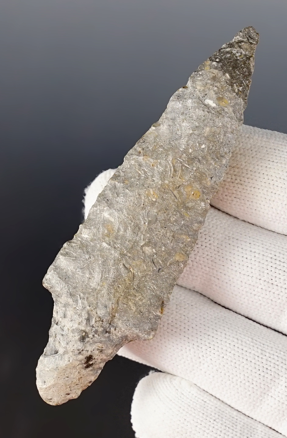 3 1/2" Gary found by Rick Stevens in November of 2008, near the Arkansas River, Osage Co., OK. 