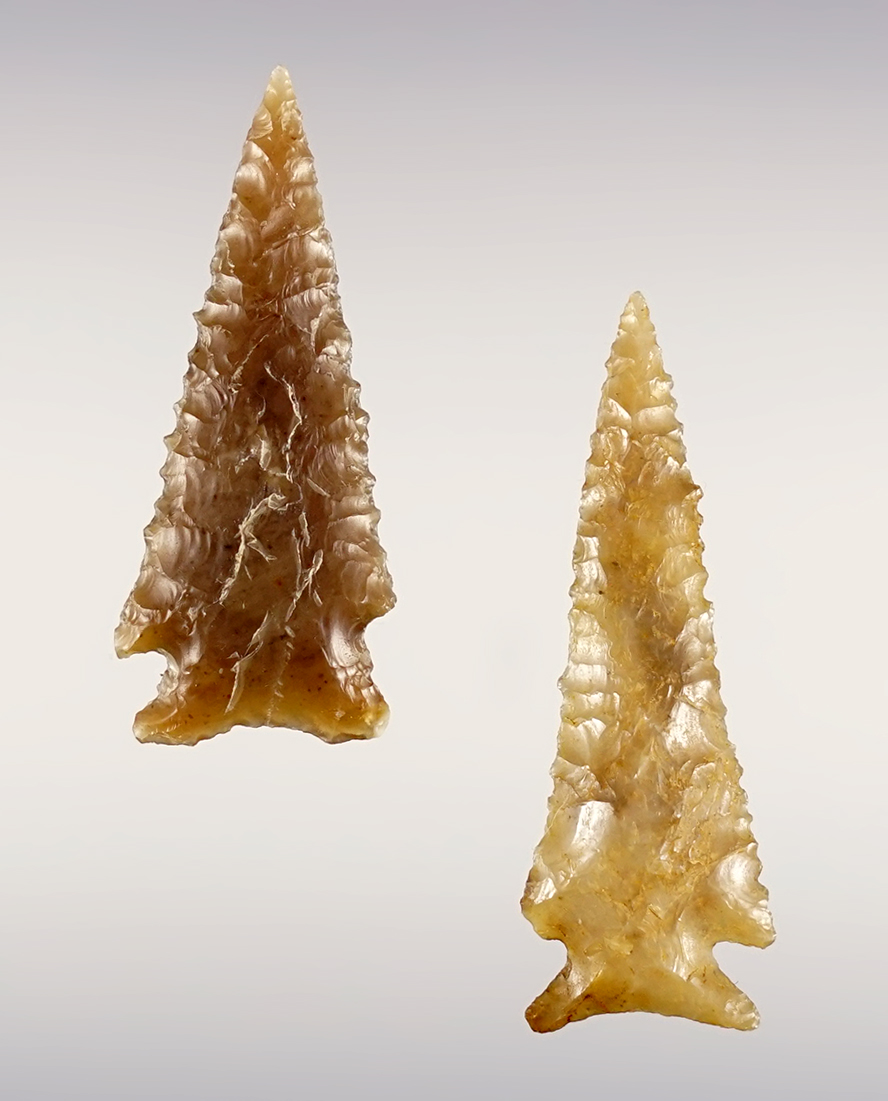 Pair of finely flaked points found in in the 1960's near the Columbia River. The largest is 1 11/16".