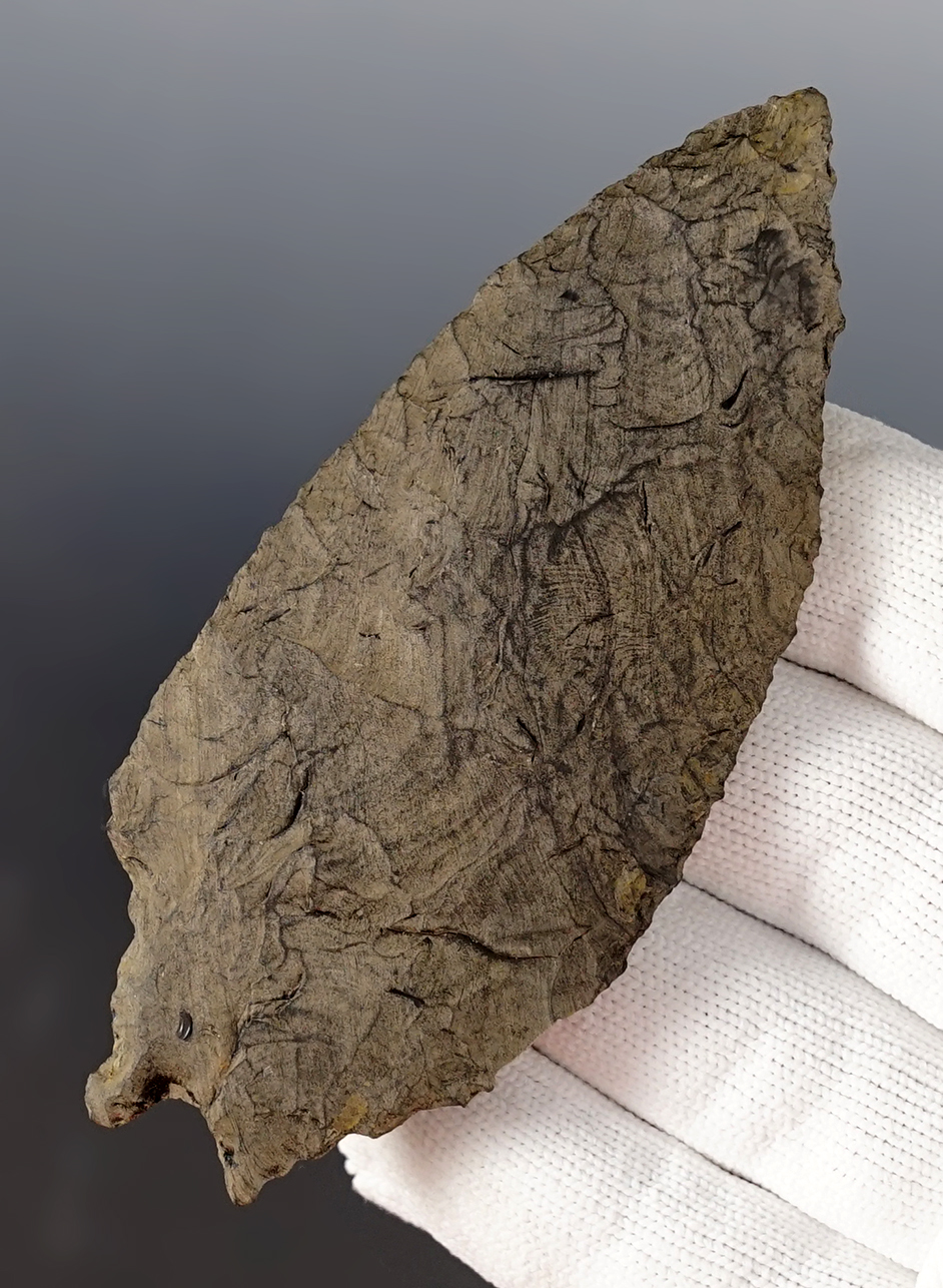 Well made 3 3/4" Pinto Basin found by Terry & Loretta Clemens - Warner Valley area, Oregon. 