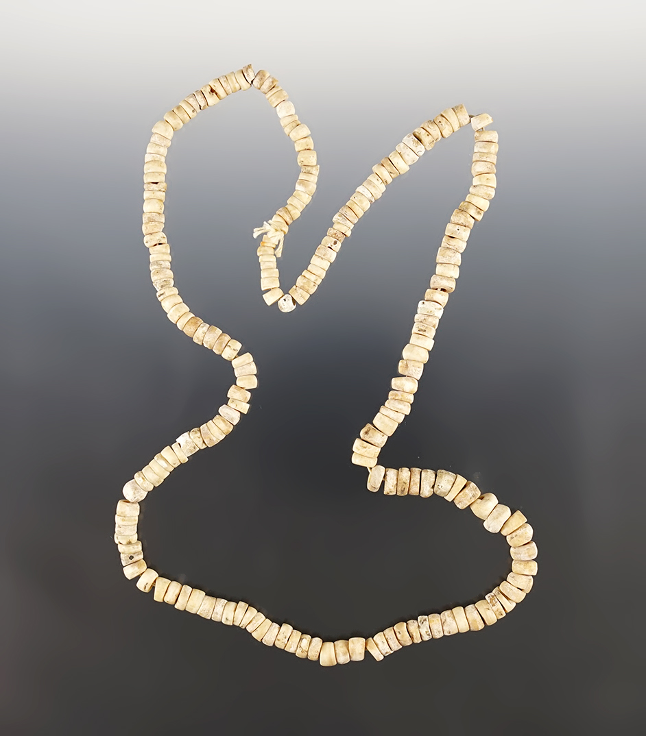 22" Strand of small Shell Disc Beads found around Upper Cayuga, New York at the Great Gully Site.