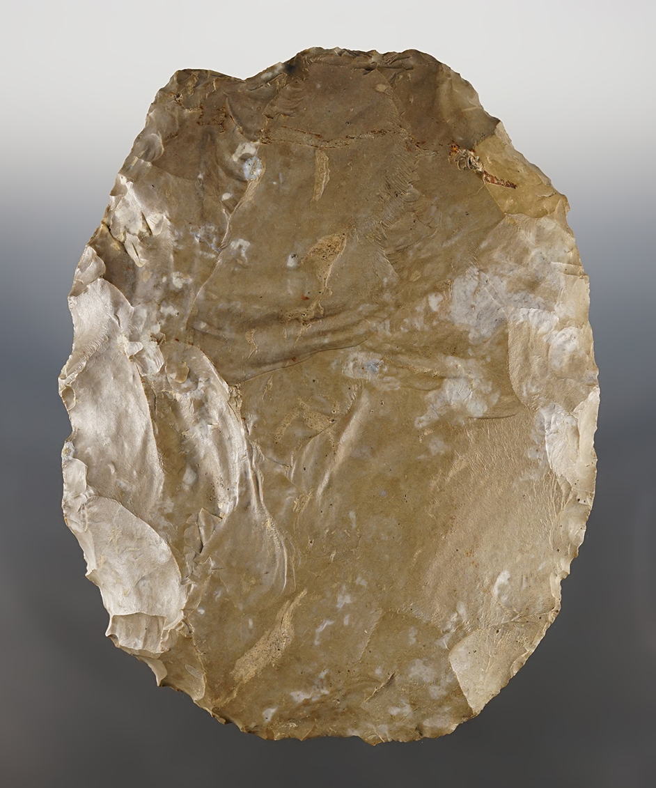 Huge 6 1/2" x 5" Blade or Preform made from Ft. Payne Chert. Found at the Fox Field Site.