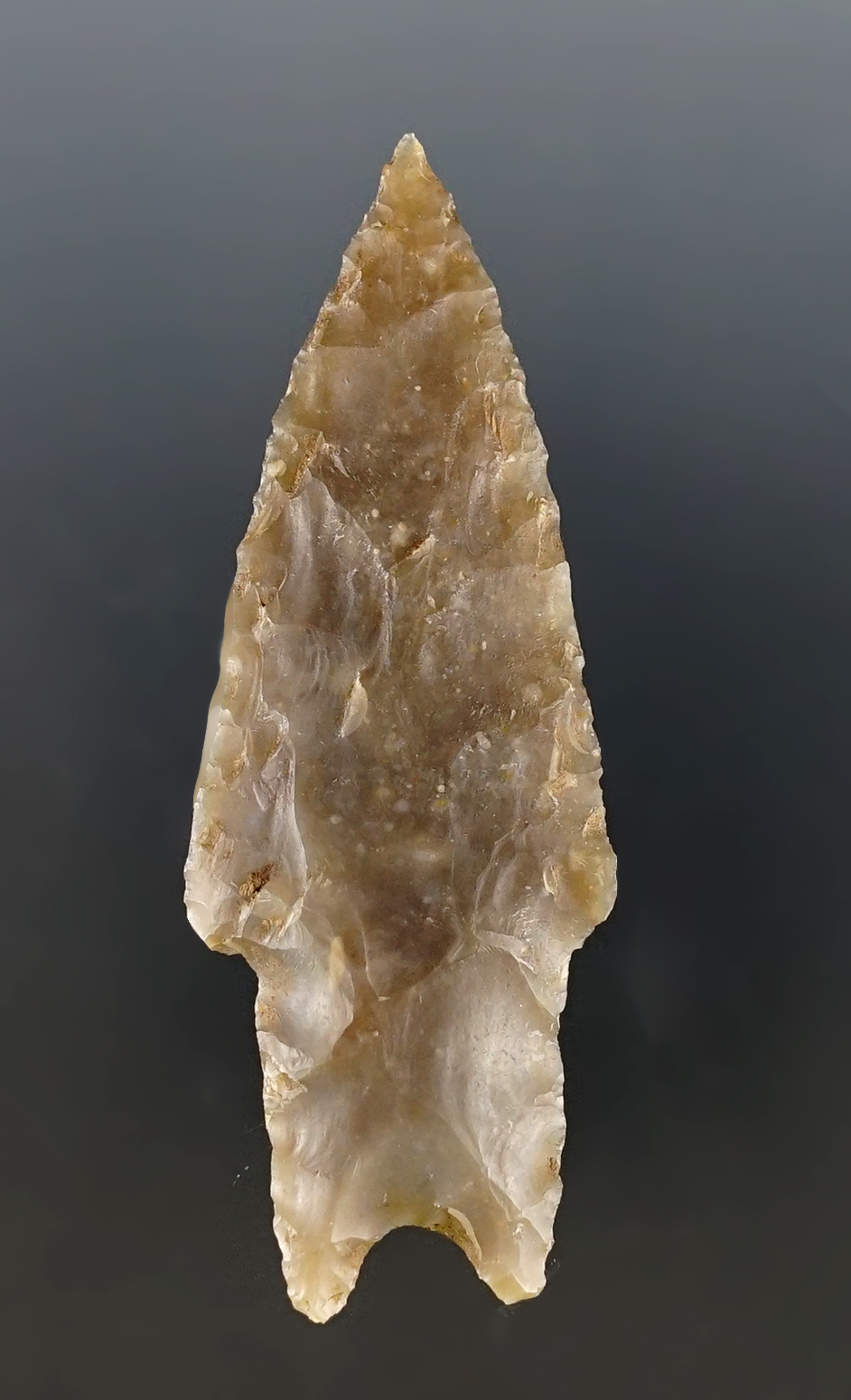 2 7/8" Texas Pedernales in great condition. Certificate of Museum Deaccession. 