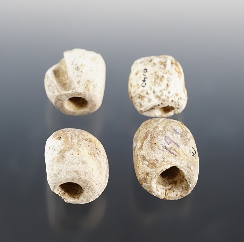 Set of 4 Knobbed Shell Beads found around Upper Cayuga, New York at the Great Gully Site. 