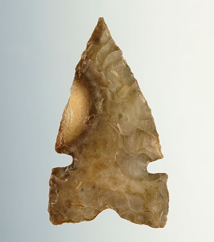 1 3/8" Desert Sierra Sidenotch with excellent flaking. Near the Columbia River in the 1960's.